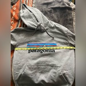 Patagonia grey hooded sweatshirt